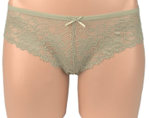 163 - Lace Brief - Image 4