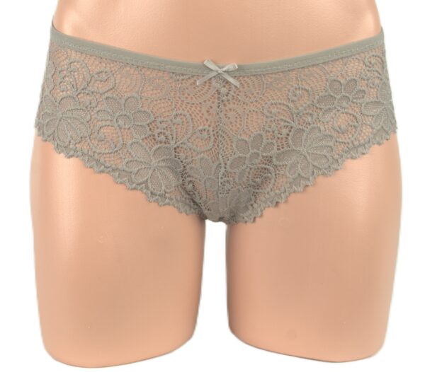 163 - Lace Brief