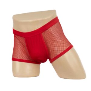 2312B - Men's Fine Mesh Boxer