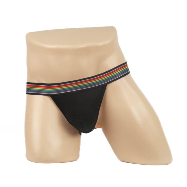 284 - Men's Rainbow Jockstrap - Image 5