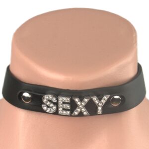 L209 - Leather Collar - Sexy