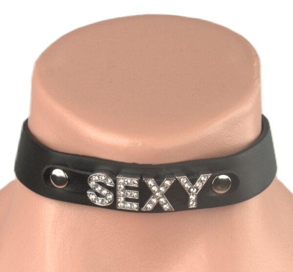 L209 - Leather Collar - Sexy