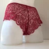 162 - Swirl Lace Brief - 8, Red