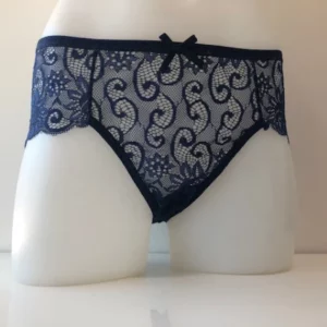 162 - Swirl Lace Brief