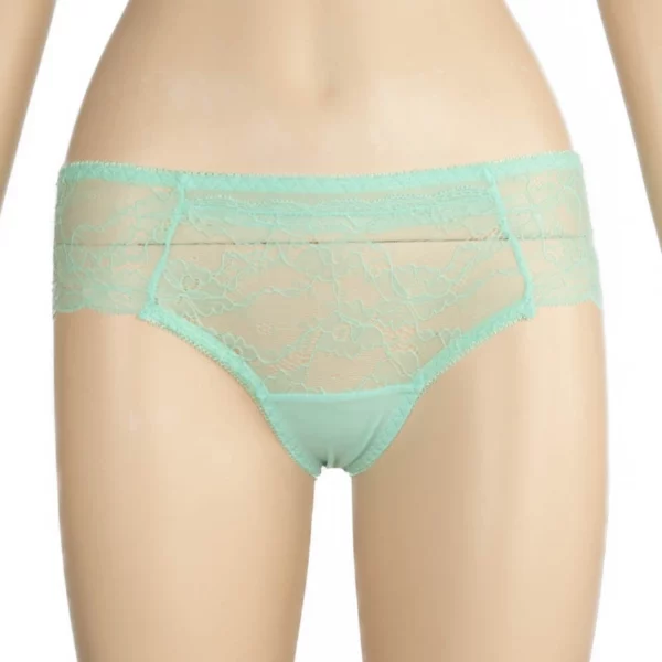 2000U - ALISON Lace Brief - Image 4