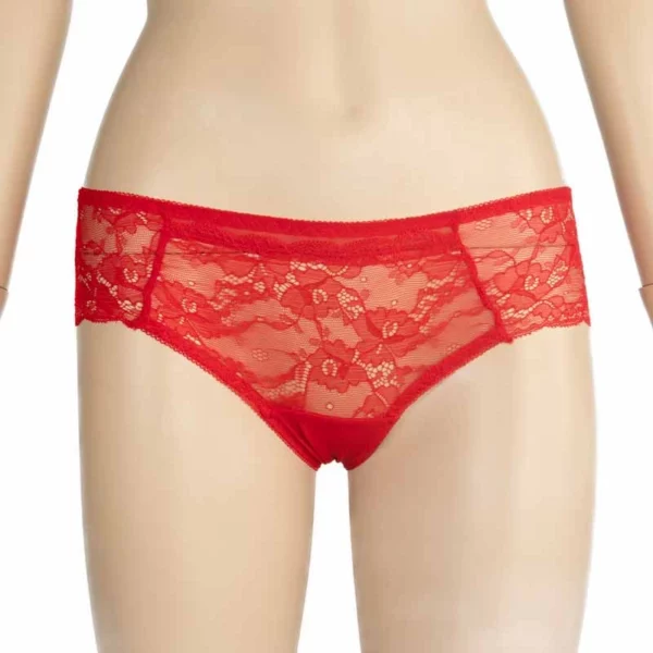 2000U - ALISON Lace Brief - Image 3