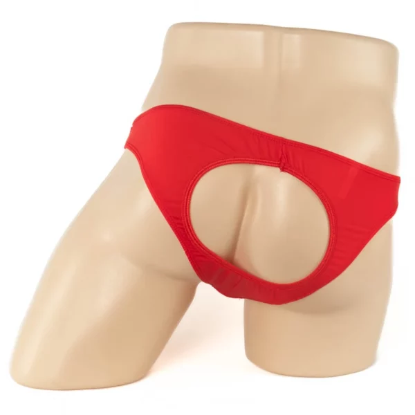 211 - Peek a Boo Briefs - Image 2