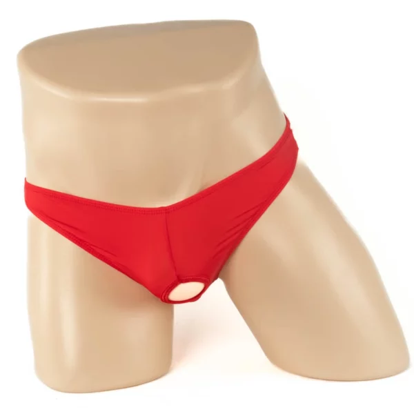 211 - Peek a Boo Briefs - Image 5