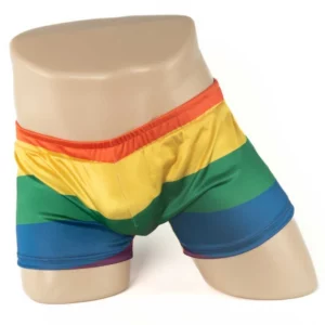 2323B - Men's Rainbow Boxer