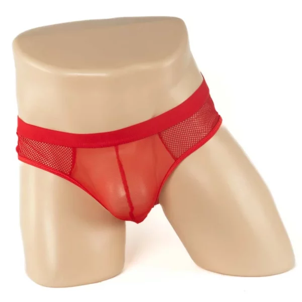 234 - Men's Mesh Bumless Brief - Image 6