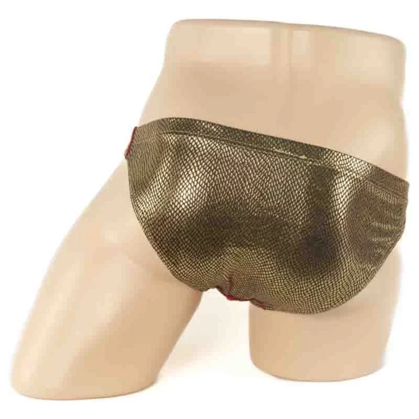 254 - Men's Brief - Image 3