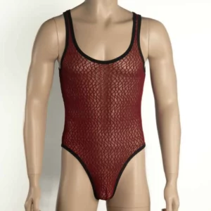 255 - Men's Mesh Bodysuit