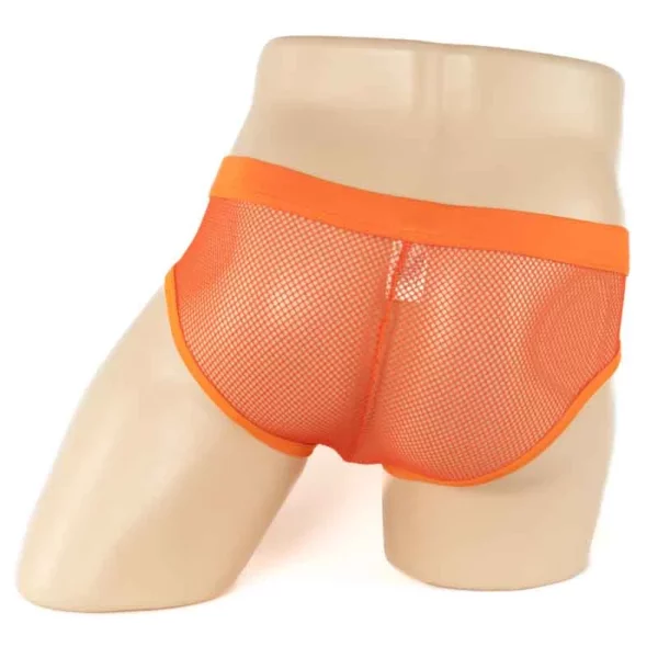 258 - Men's Mesh Brief - Image 4