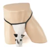 260 - Men's Novelty G-String - Rhino - Mens One Size, White