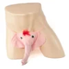264 - Men's Novelty G-String - Elephant - Pink