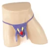 265 - Men's Novelty G-String - Parrot - Mens One Size, Purple
