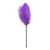 A111 - Ostrich Feather Tickler - 50cm - Black