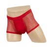 2312B - Men's Fine Mesh Boxer - S, Red