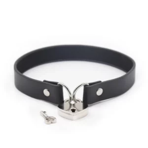 L202 - Day Collar with Lock