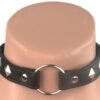 L203 - PVC Collars - Metal Ring - Rivet